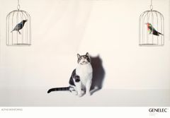 genelec-linnut