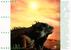 syopajarjestot-aurinko-sopii-paksunahkaisille